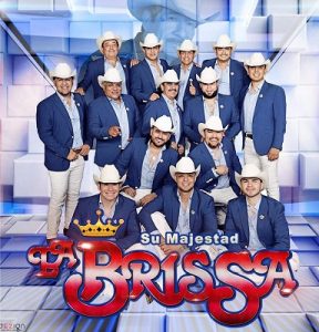 #15 Brissa Cover